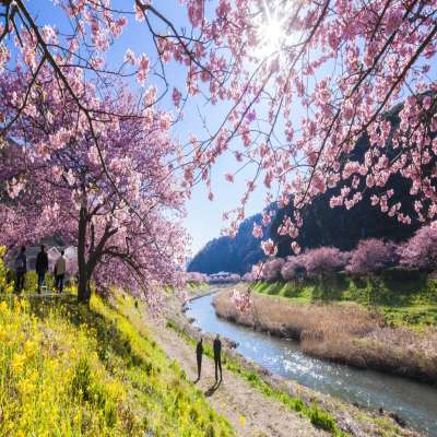 Japan Travel Plan